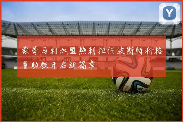 蒙哥马利加盟热刺担任波斯特科格鲁助教开启新篇章