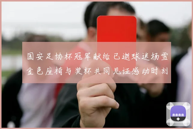国安足协杯冠军献给已逝球迷杨雪金色座椅与奖杯共同见证感动时刻